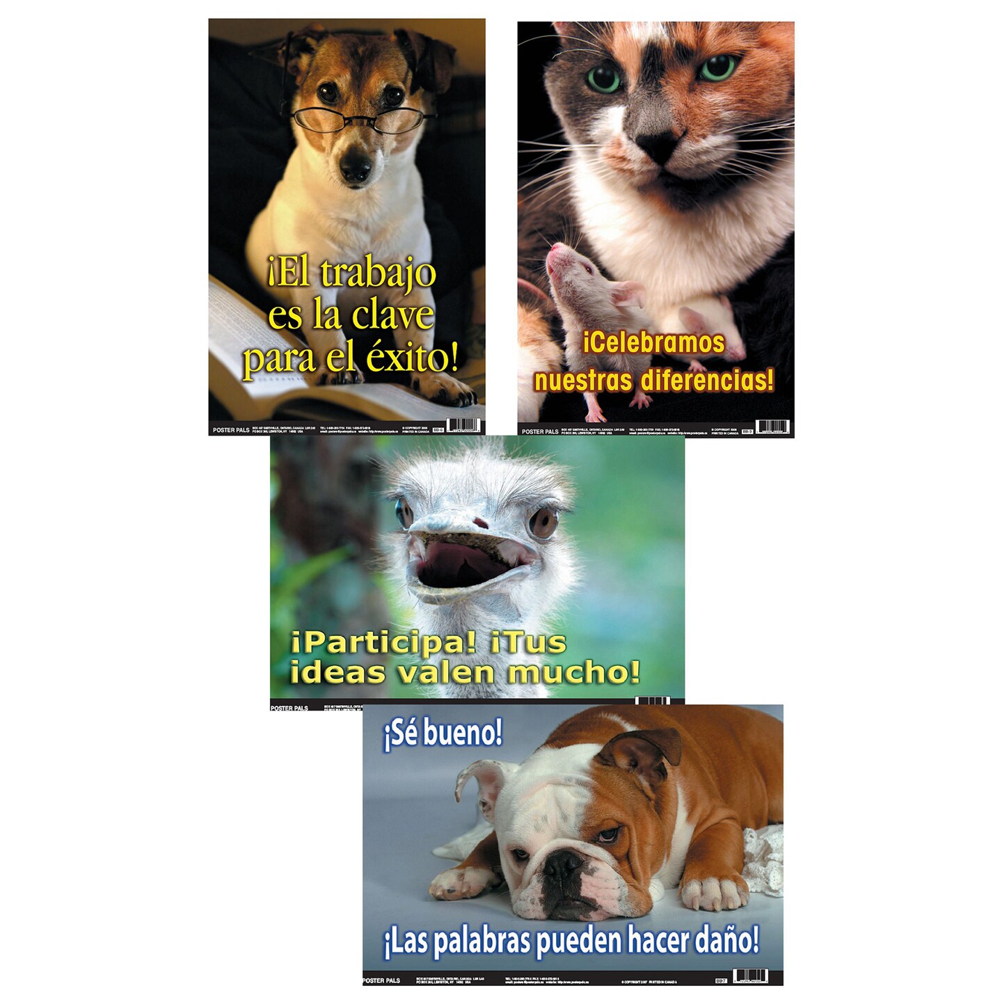 Poster Pals Spanish Educational and Language Teaching Fun Photo Posters,Bilingual Charts, Classroom Decorations, 4 Poster Set