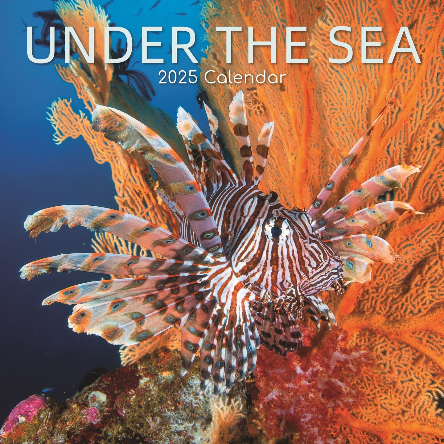 The Gifted Stationary 2025 Square Wall Calendar, Under the Sea, 16-Month Natural World Theme Hanging Calendar with 180 Reminder Stickers, Month Planner for Home, or Creative Spaces, 12x12 In