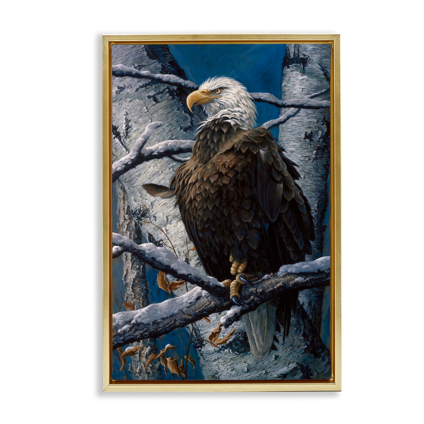 Stupell Industries America's Pride Bald Eagle Floating Frame By Tom Antonishak