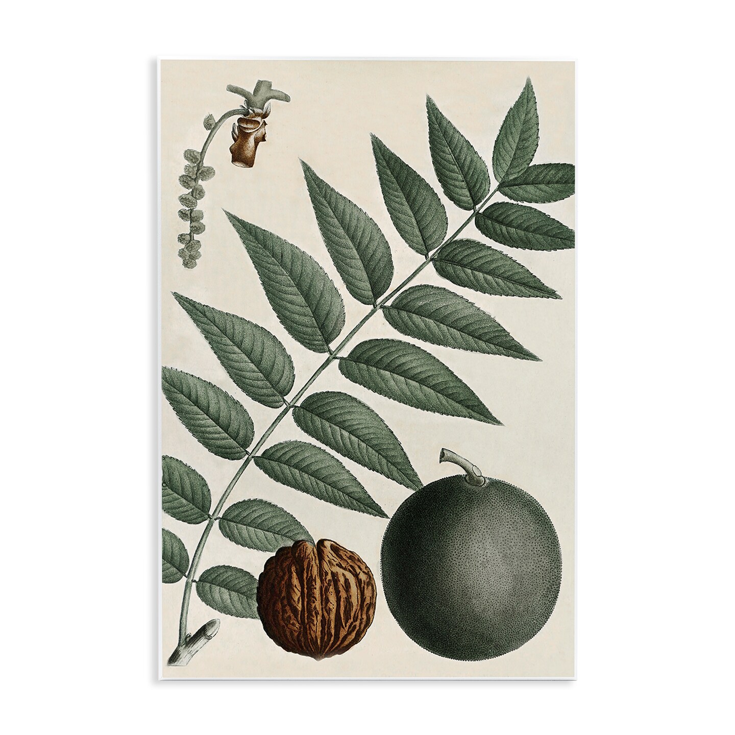 Stupell Industries Vintage Walnut & Leaf Wall Plaque Art Design by Graffi*tee Studios