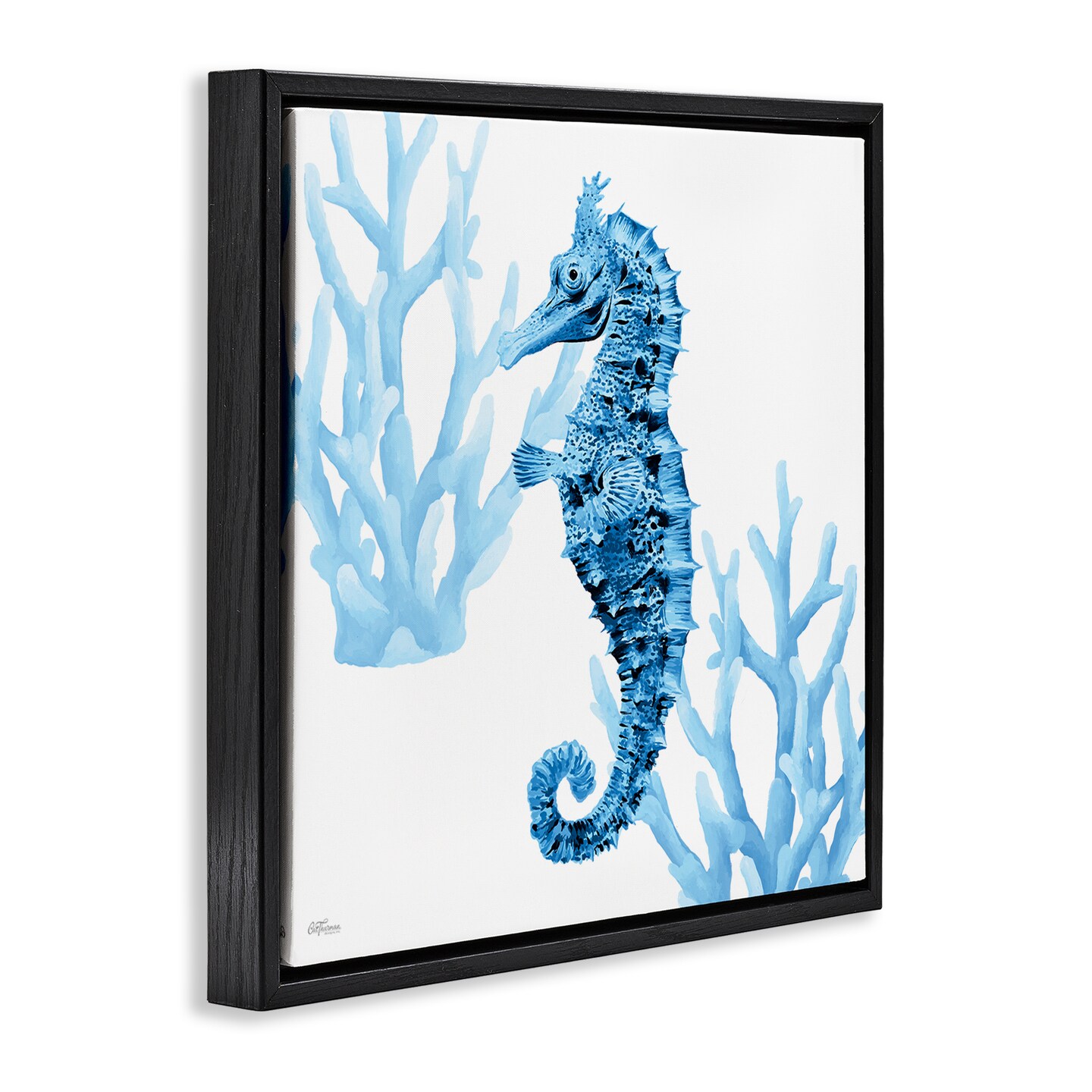 Stupell Industries Blue Tone Seahorse & Coral Floating Frame Design by Cat Thurman Designs