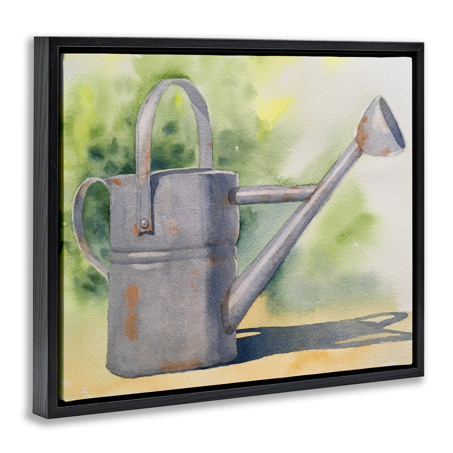 Stupell Industries Country Watering Can in Garden Floating Frame Design by Stephanie Fielden