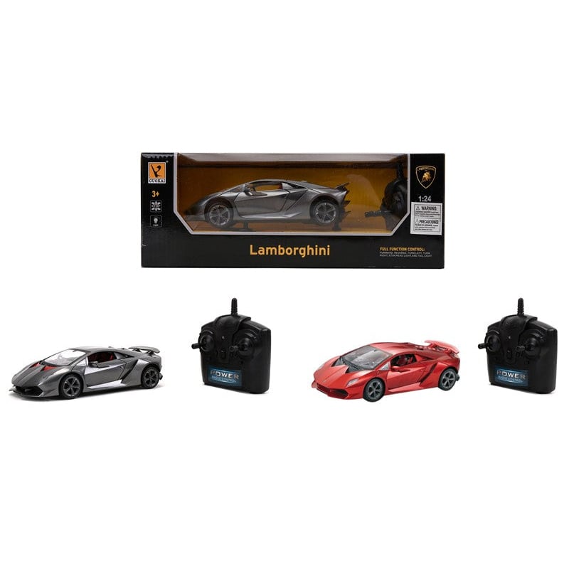 2.4G Remote Control Licensed Lamborghini Replica 1:24 Scale
