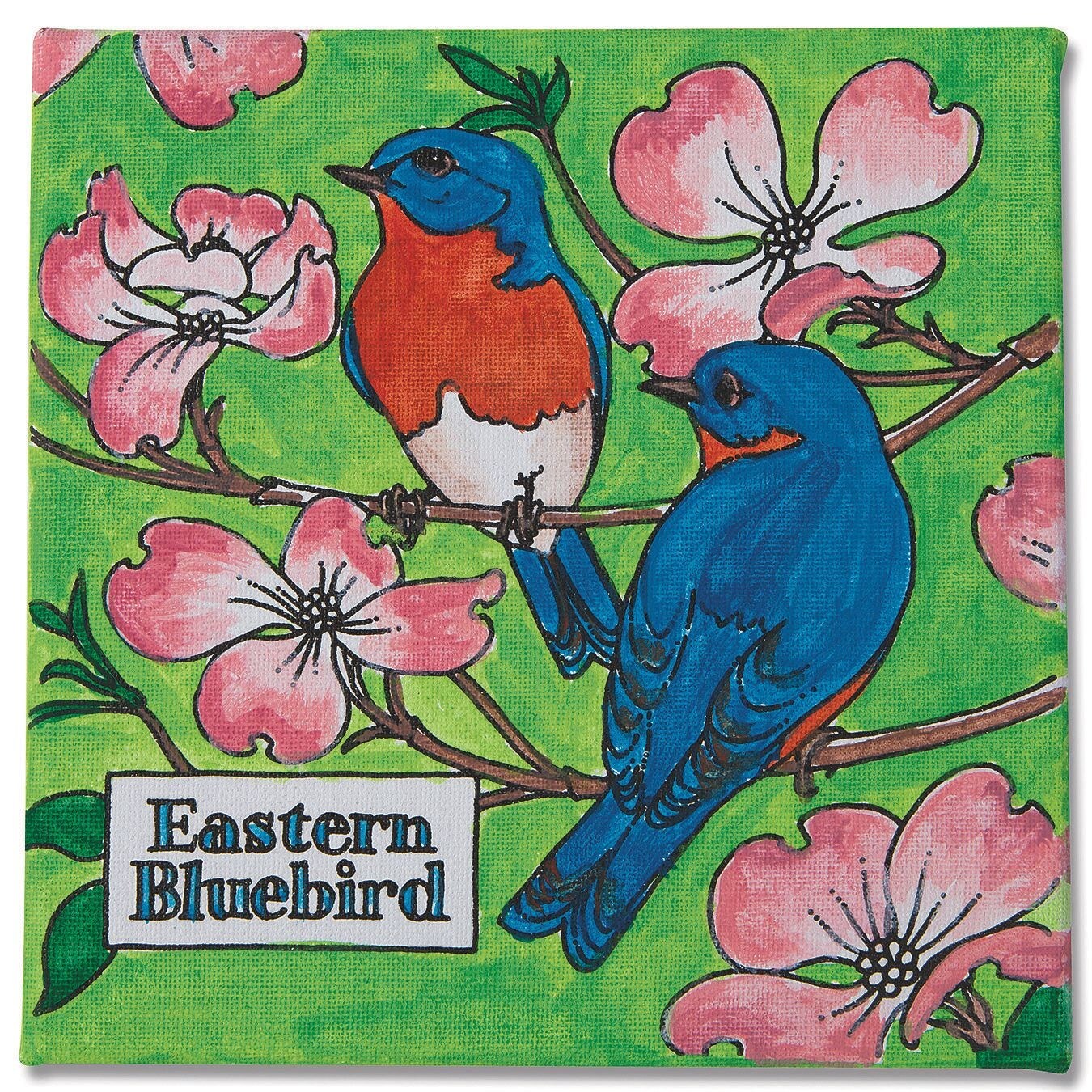 Eastern Bluebird Paintings (Pack of 12)