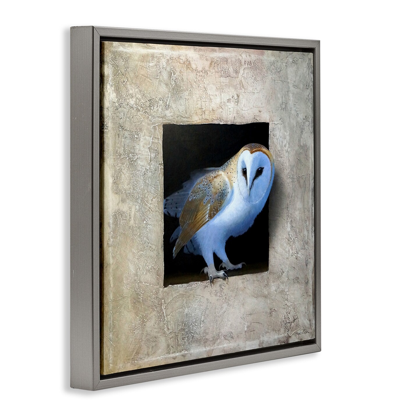 Stupell Industries Mysterious Barn Owl Peering Framed Floater Canvas Wall Art