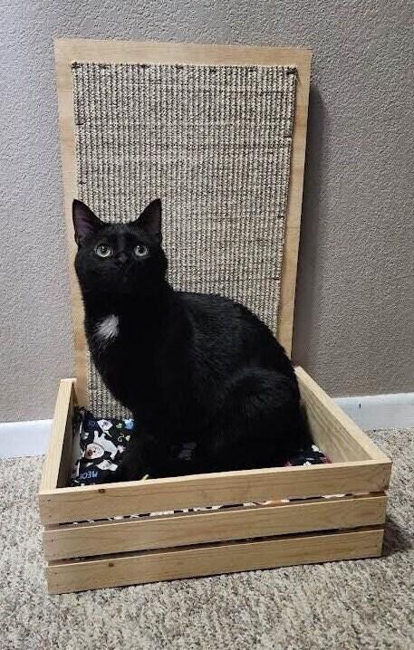 product name is 2 in 1 Cat Bed and Scratching Pad, Free Standing Scratch Pad, Durable Mess Free Scratch Pad, Soft Cat Bed, Crate, Cat Lounger, Cat furniture