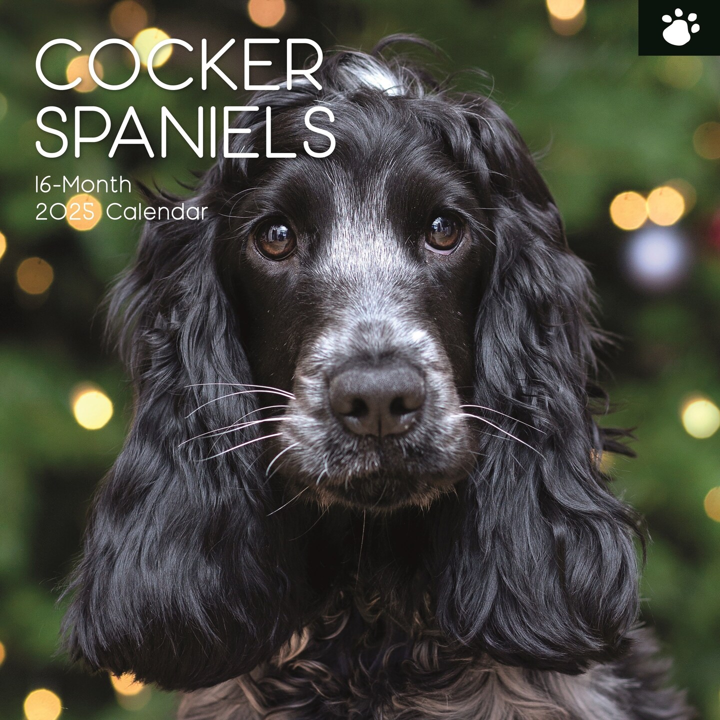 The Gifted Stationary 2025 Square Wall Calendar, Cocker Spaniels, 16-Month Paw Prints Theme Hanging Calendar with 180 Reminder Stickers, Month Planner for Home, or Creative Spaces, 12x12 In