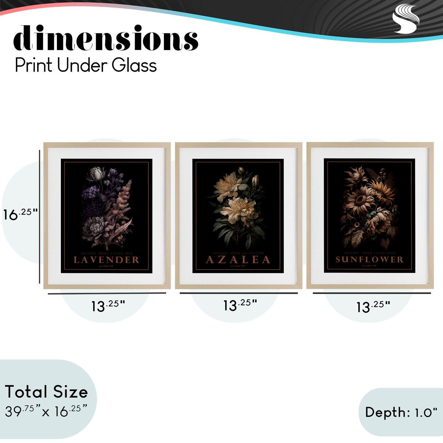 Stupell Industries Antique Botanical Herb Bushels 3pc Framed Print Under Glass Set, design by Christopher Giampietro