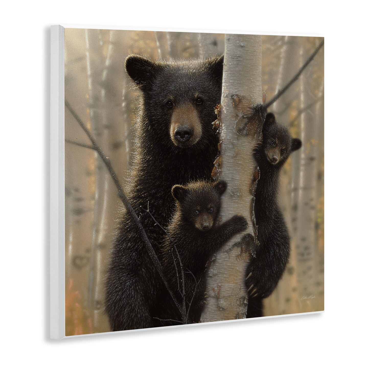 Stupell Industries Forest Black Bear and Cubs Wall Plaque Art