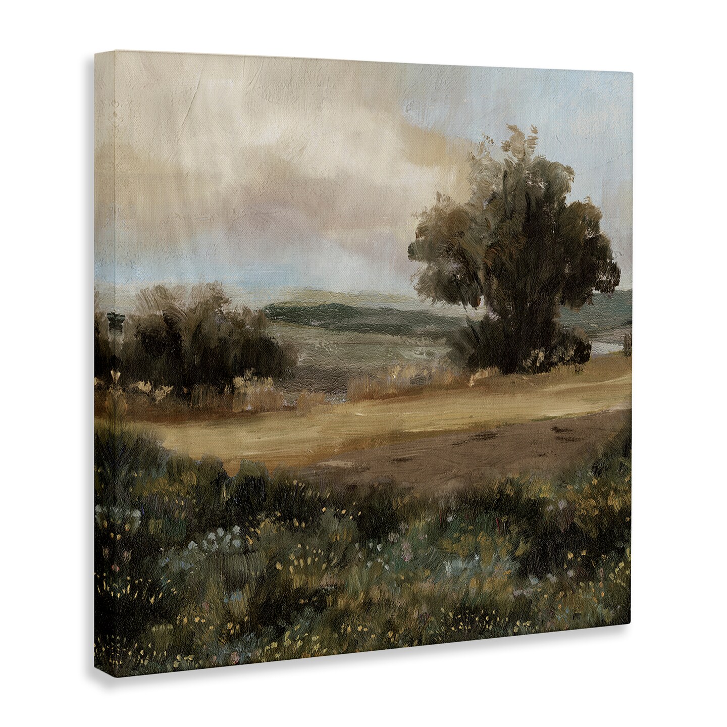 Stupell Industries Vast Country Terrain Canvas Wall Art Design by Cloverfield &#x26; Co.