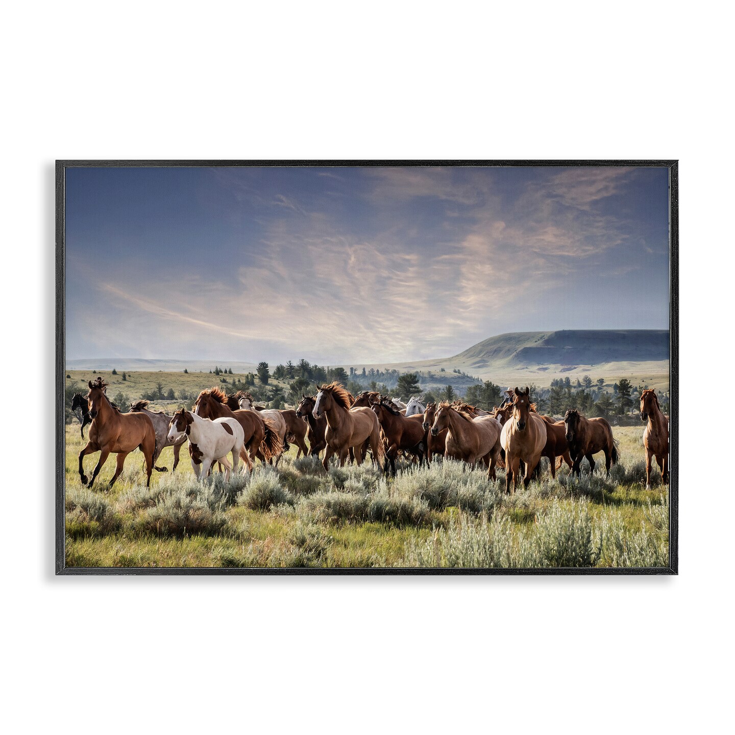 Stupell Industries Bustling Horse Herd in Nature Framed Giclee By PHBurchett