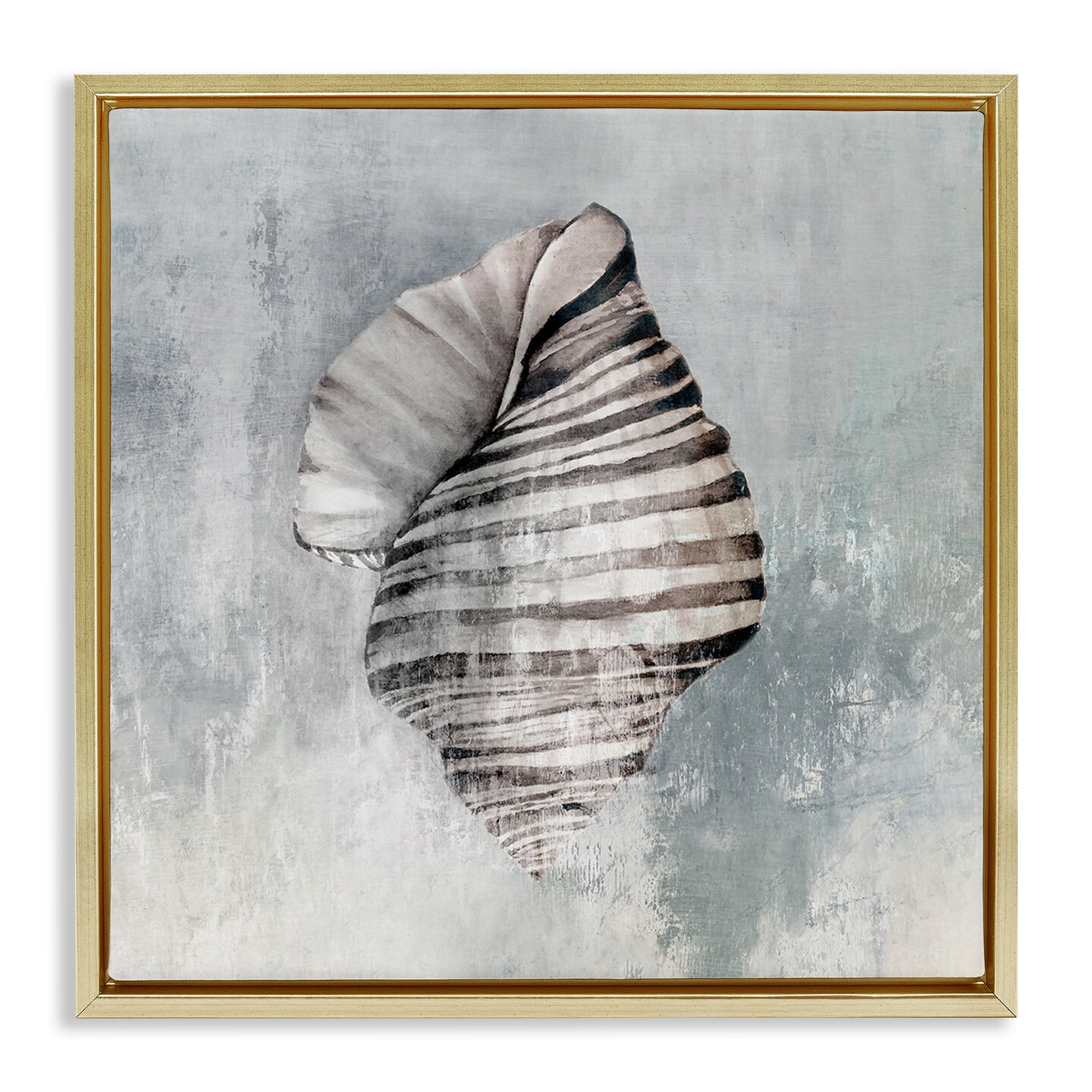 Stupell Industries Organic Twisted Seashell Floater Framed Canvas Wall Art Design by Eli Jones