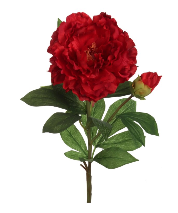 4pc red 30&#x22; Peony Stem