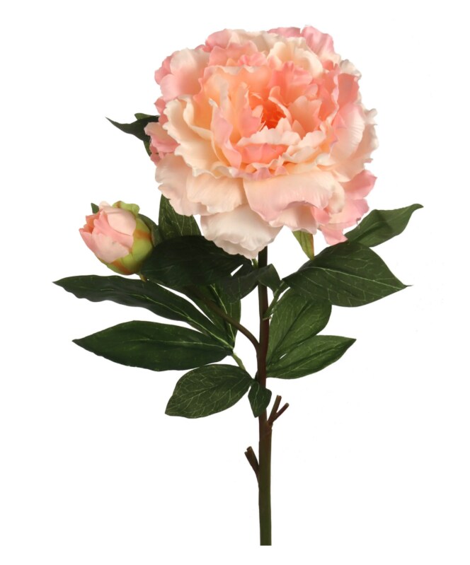 4pcs 30&#x22; Peony Stem