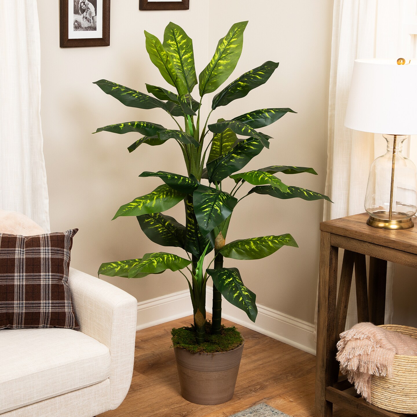 Northlight Wide Leaf Artificial Dieffenbachia Potted Plant - 59", Color:  Green | Michaels
