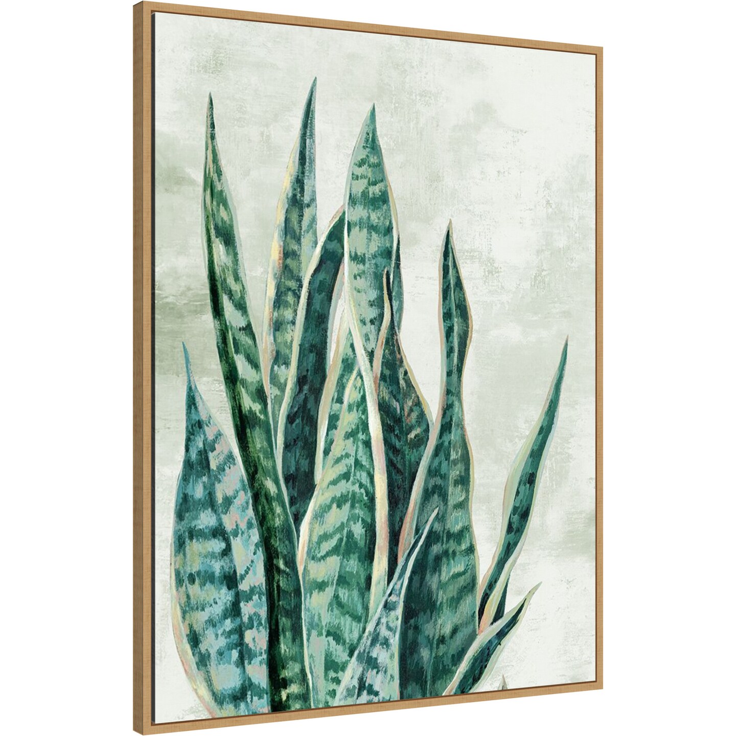 Reaching Snake Plant by PI Studio Framed Canvas Wall Art