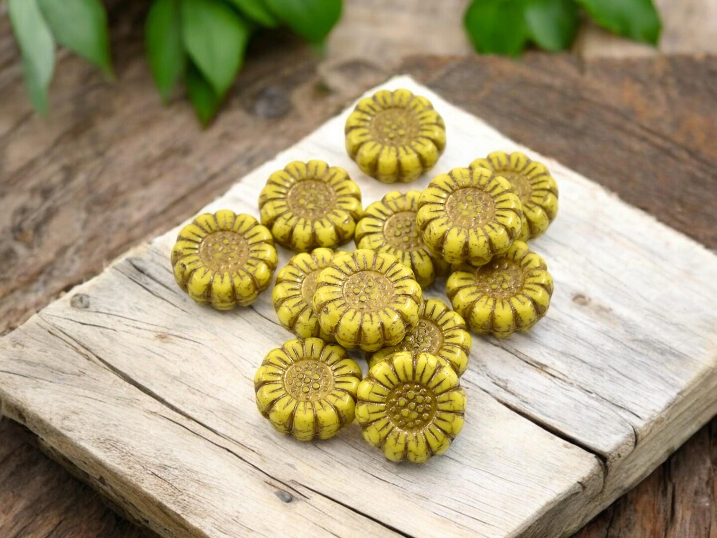 *12* 13mm Dark Bronze Washed Opaque Yellow Sunflower Coin Beads