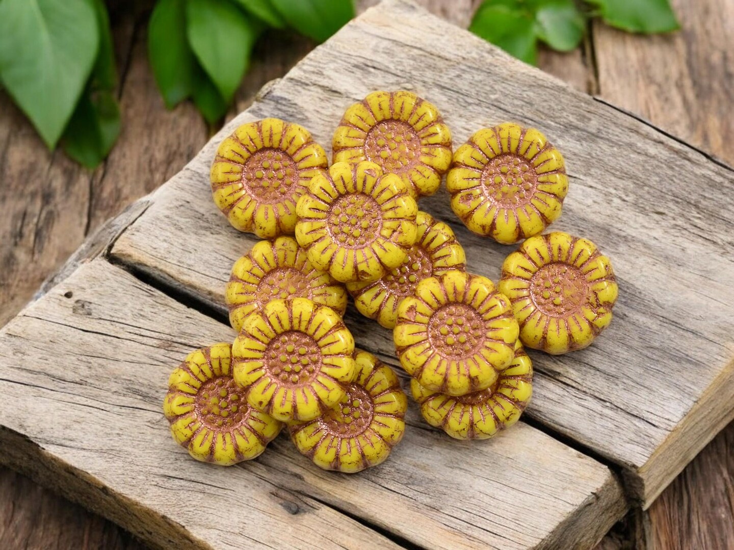 *12* 13mm Copper Washed Opaque Yellow Sunflower Coin Beads