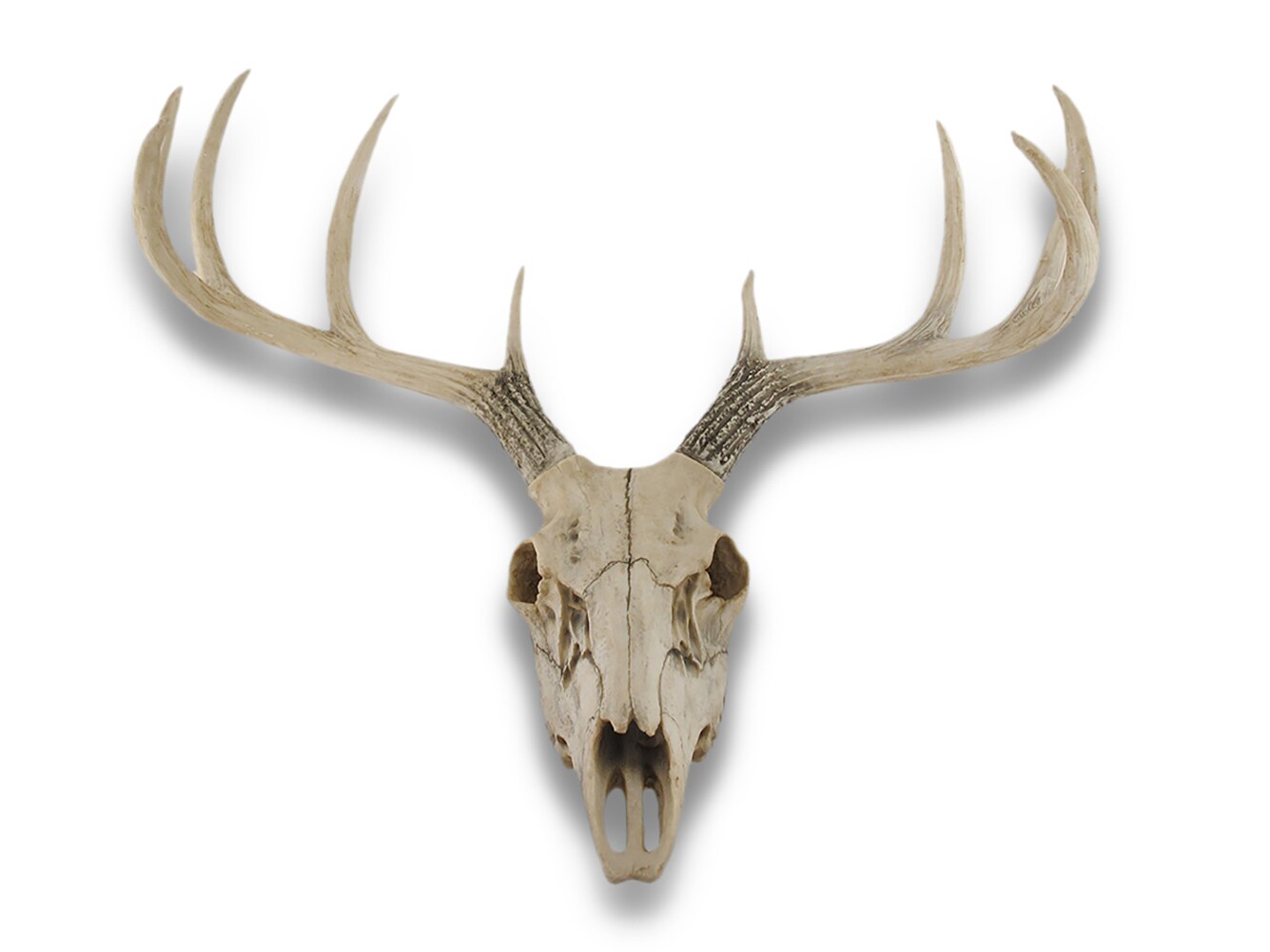 10 Point Buck Deer Skull Bust Wall Hanging