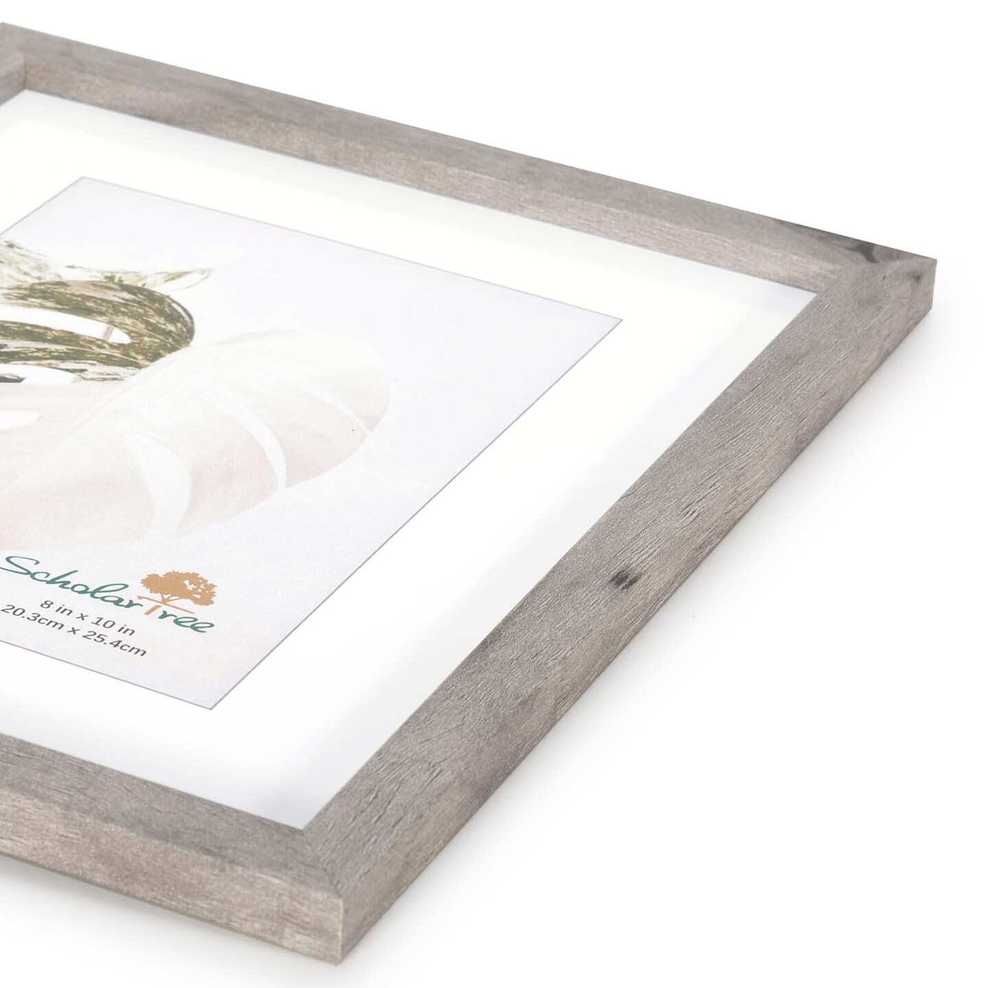 Grey 8x10 Picture Frame set of 4, Display 8x10 without Mat Wall Gallery Photo Frames