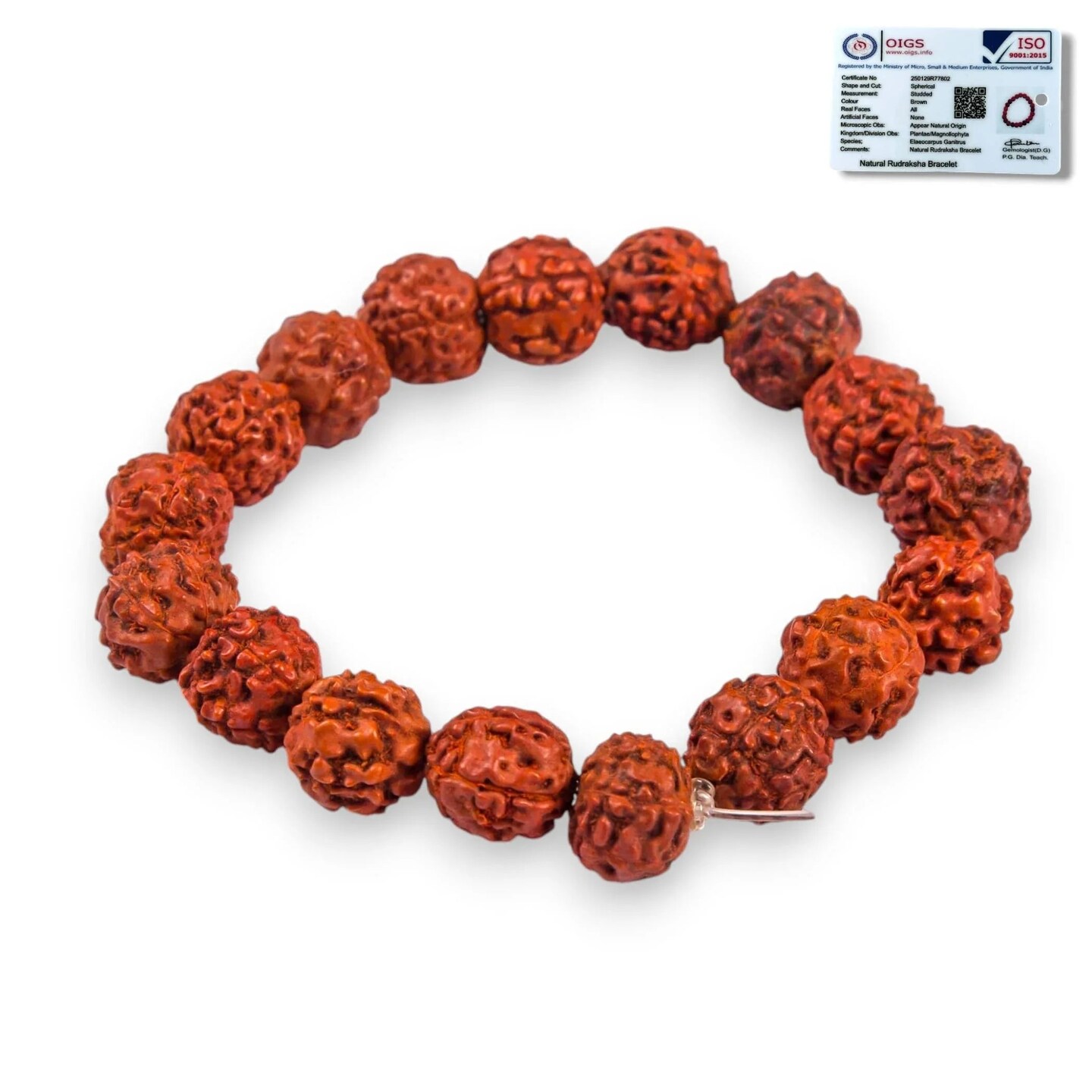 5 Mukhi Rudraksha Bracelet Suitable for Yoga, Meditation 5 Face Nepali Panchmukhi Rudraksh Natural Healing Round Bead Stretchable Elastic Bracelet Daily Fashion Wear Men (8.5 Mm)