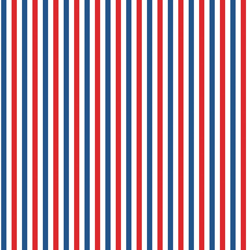 Fabric Riley Blake Multi Stripes Firecracker by the Quarter Yard C17205-MULTI