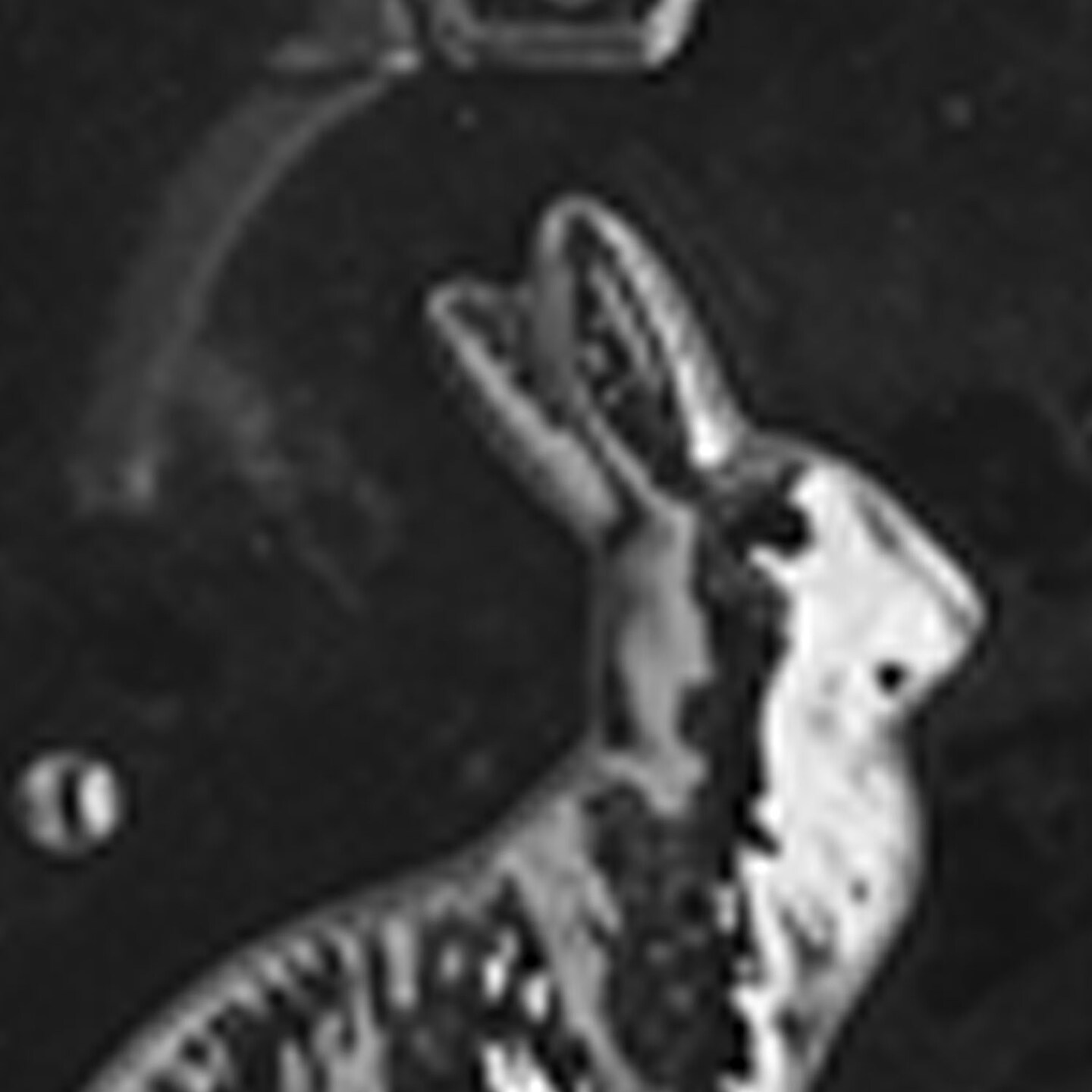 3D Sitting Bunny with Basket Chocolate Mold for Easter Treats