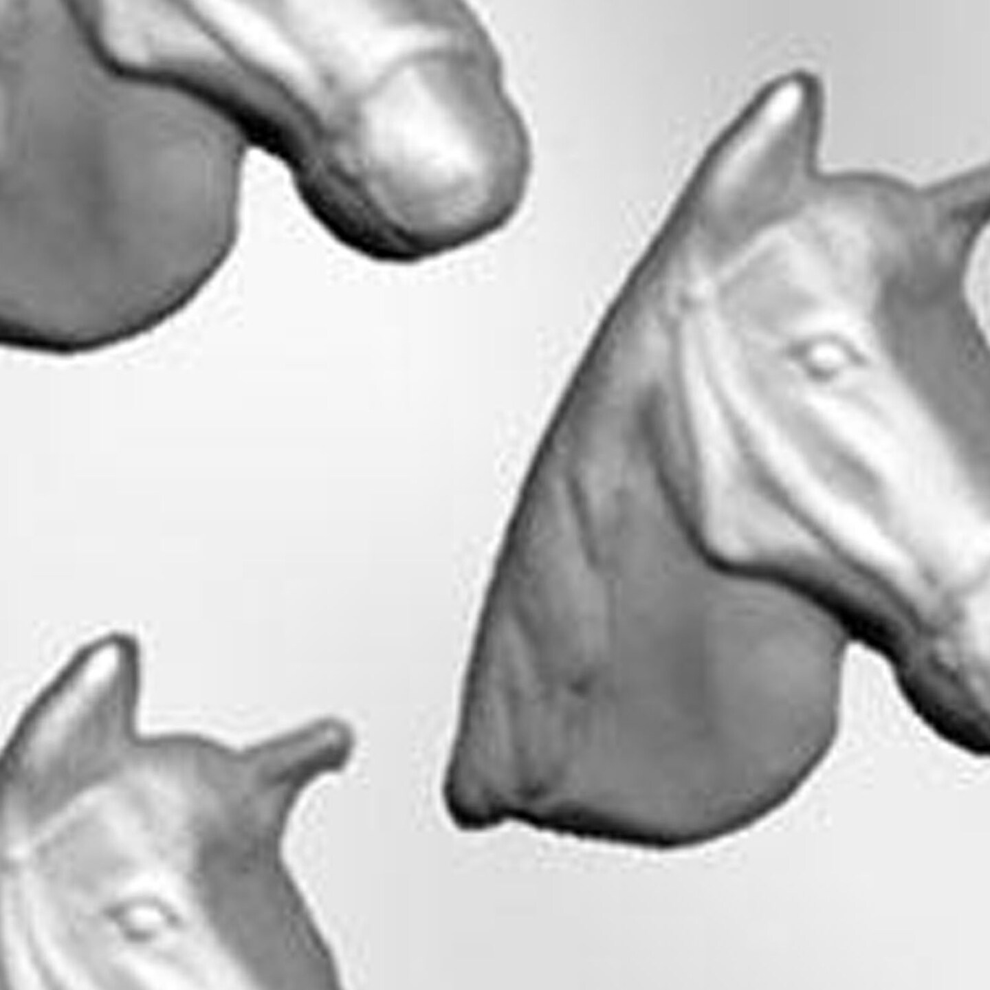 Horse Head Chocolate Mold