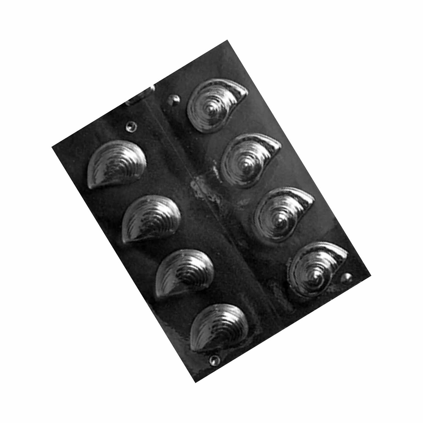 3D Shells Chocolate Mold Nautilus Shaped Candy Mold