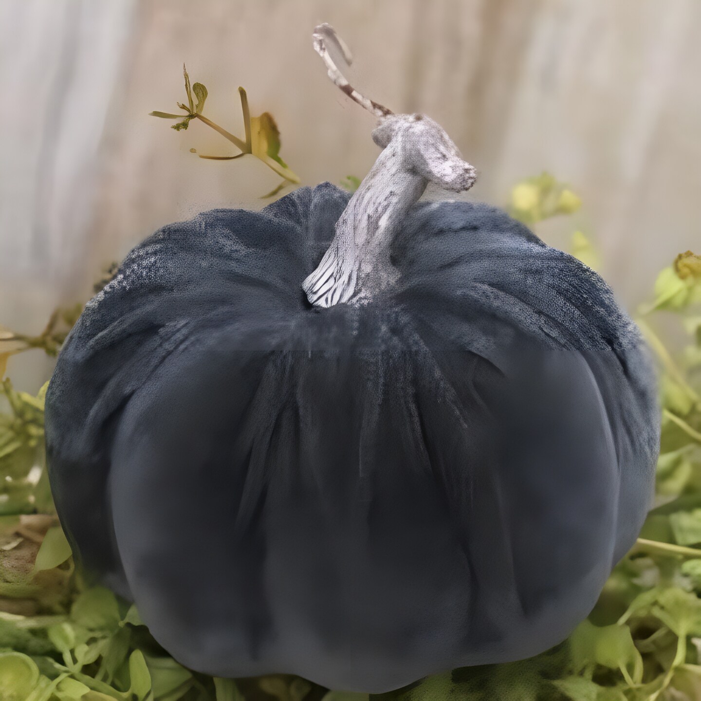Grey Velvet Foam Pumpkin with Distressed Stem, Fall Accent Decor