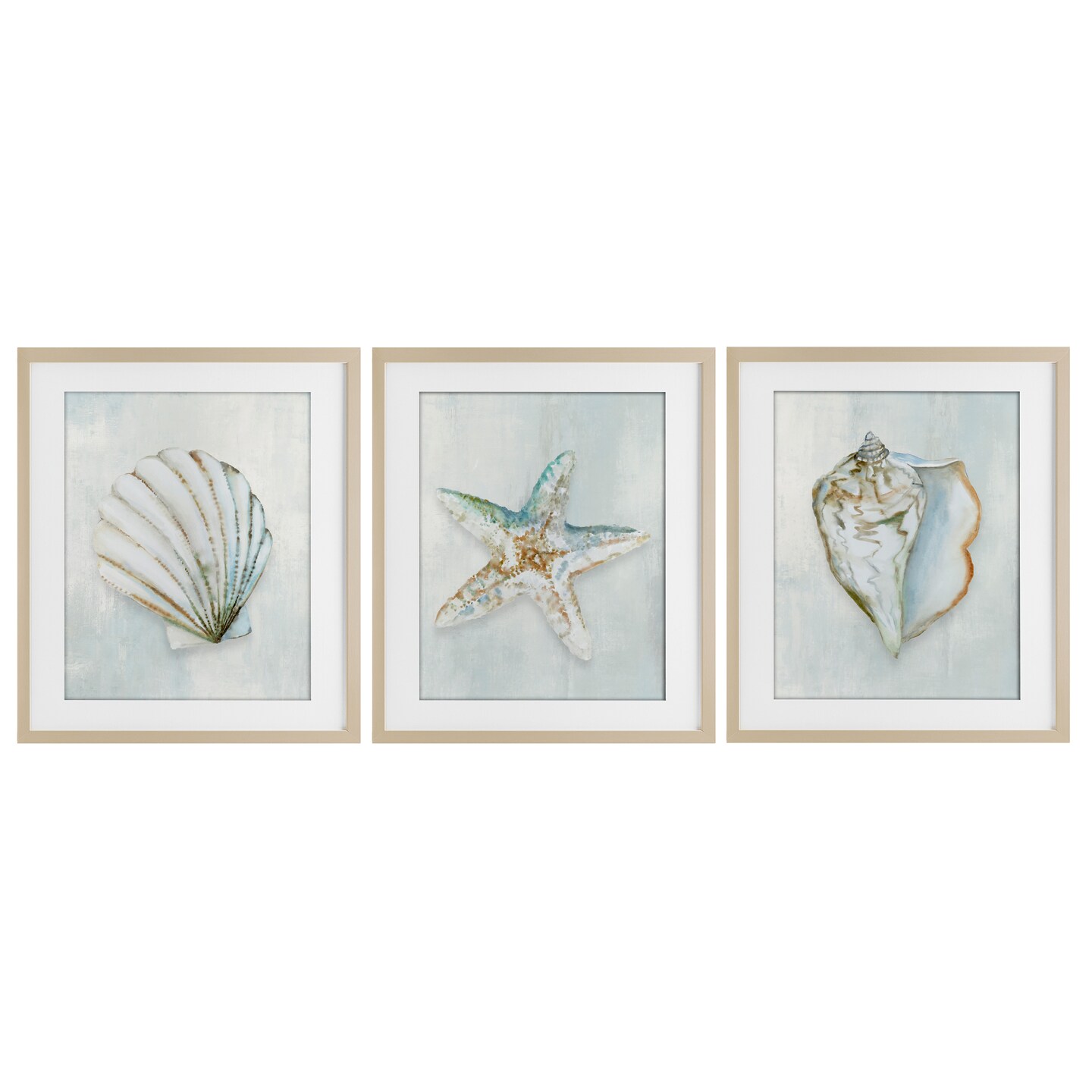 Stupell Industries Muted Sea Life Serenity 3pc Framed Print Under Glass Set, design by Hannah Dawson