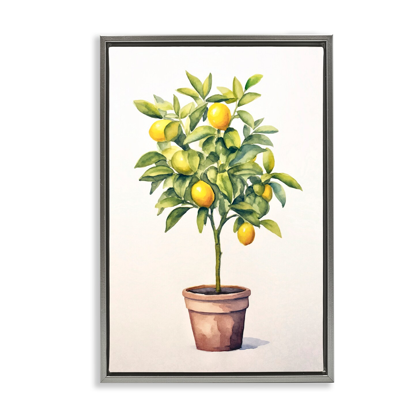 Stupell Industries Citrus Tree Serenade Floating Frame, design by Andrea Haase