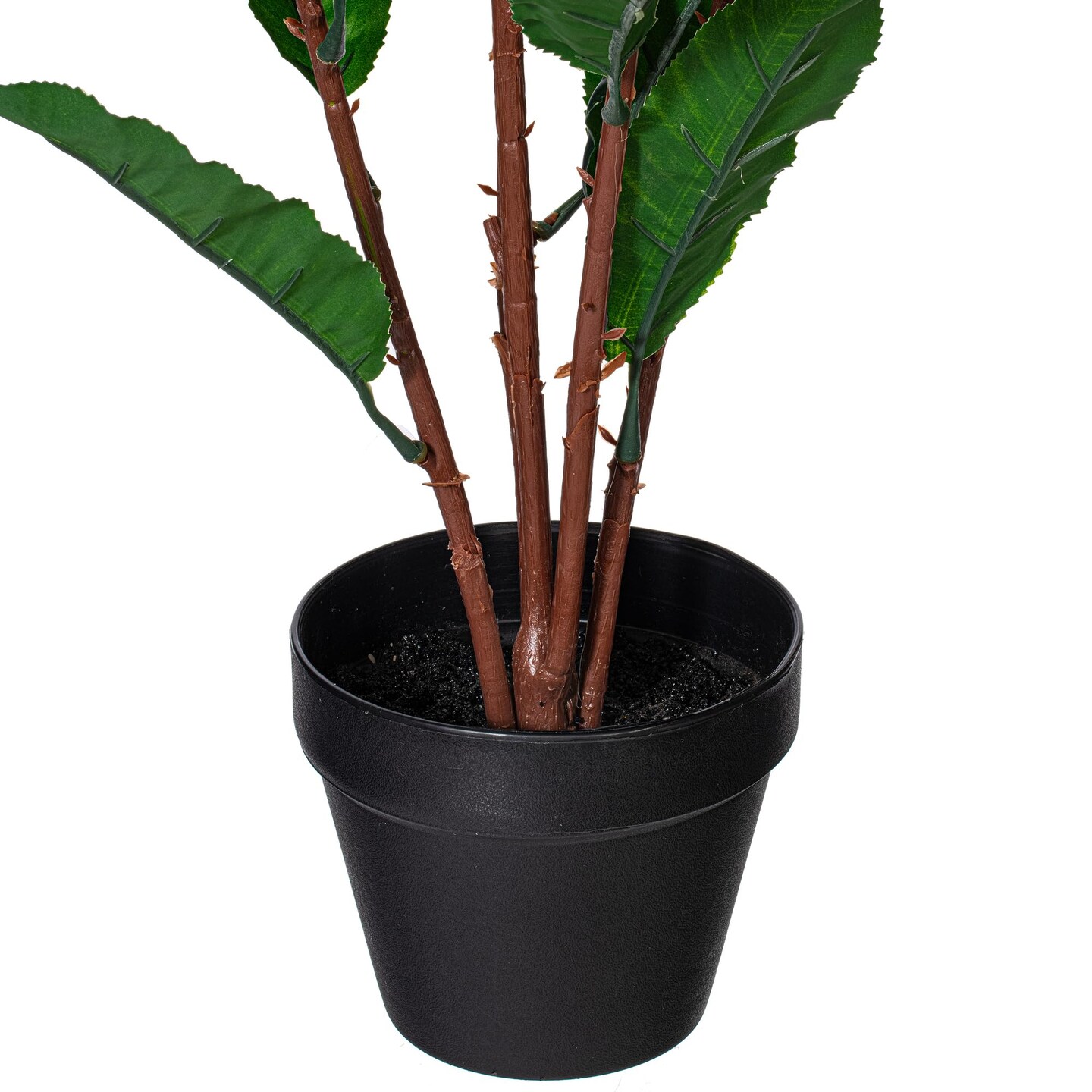 Vickerman 34" Green Myrtle in Pot 125 Lvs Real Tch - TA181434