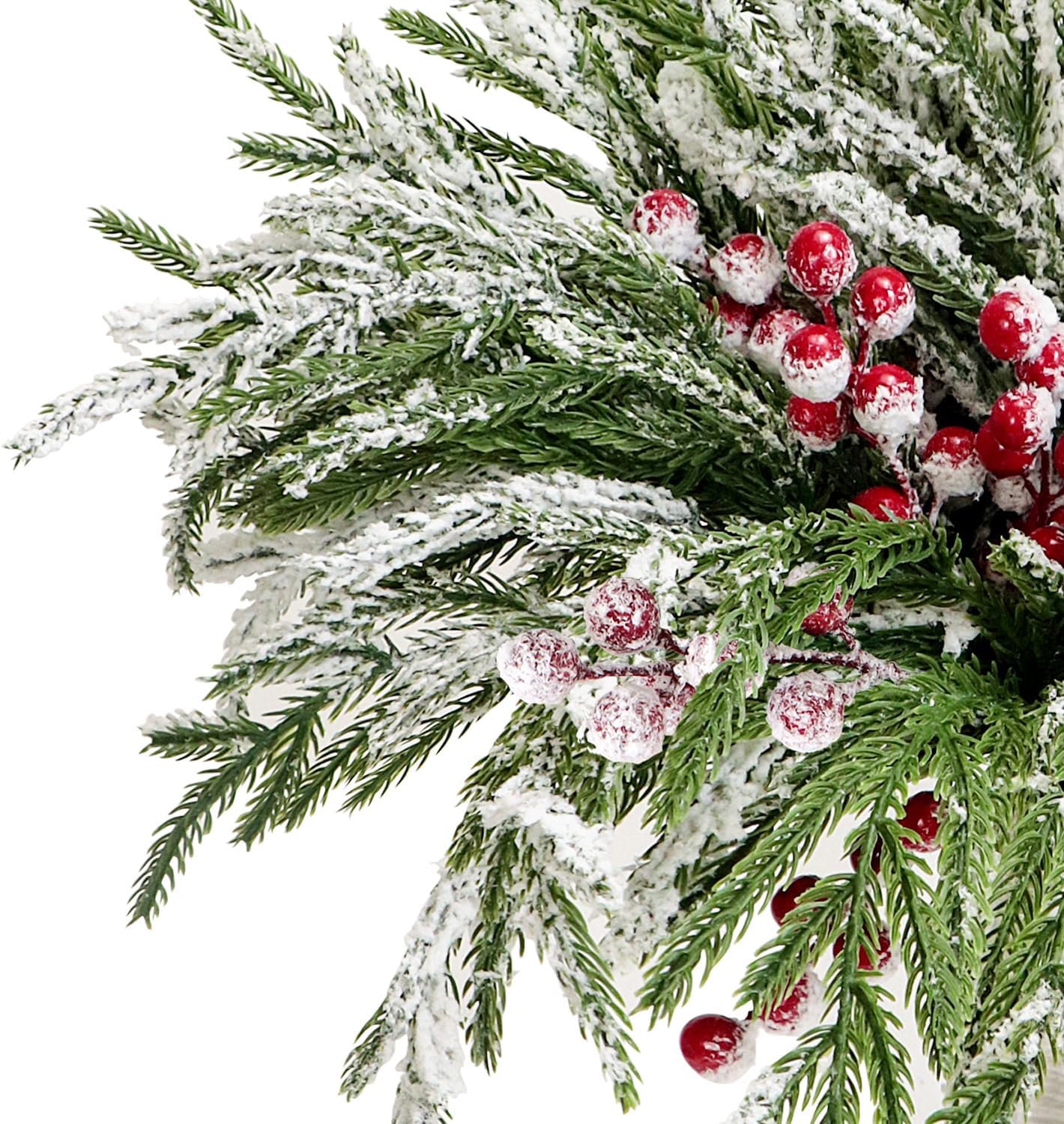 Norfolk Pine Branches (Snow)