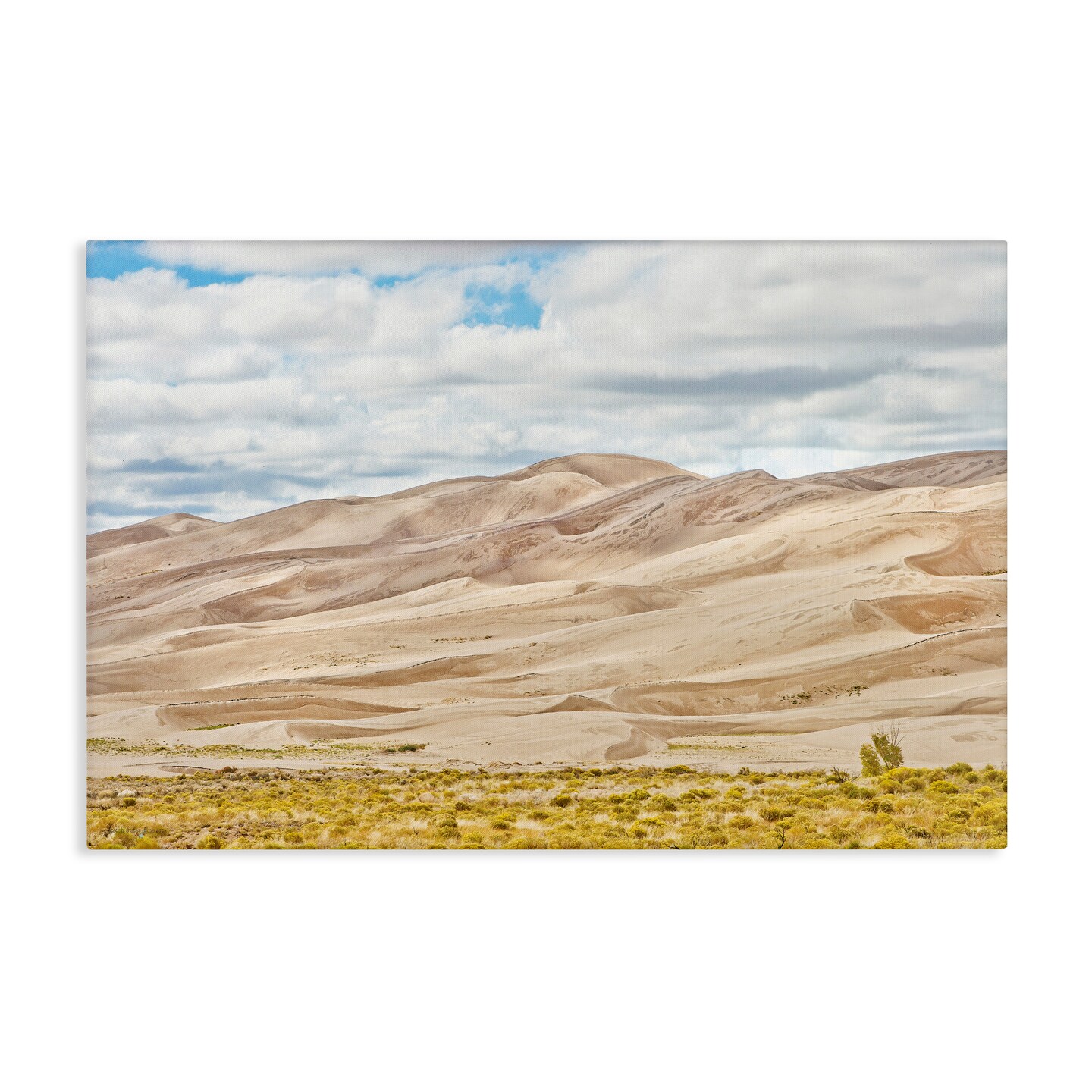 Stupell Industries Dunes In The Distance Canvas, design by Seven Trees Design