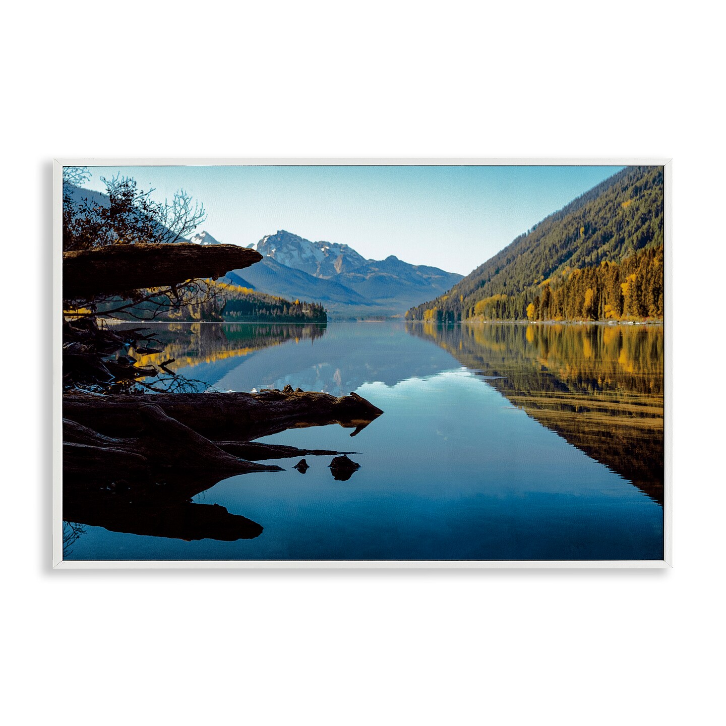 Stupell Industries Evergreen Mirrors River Reflection Framed Giclee, design by Madison Starnes Photography