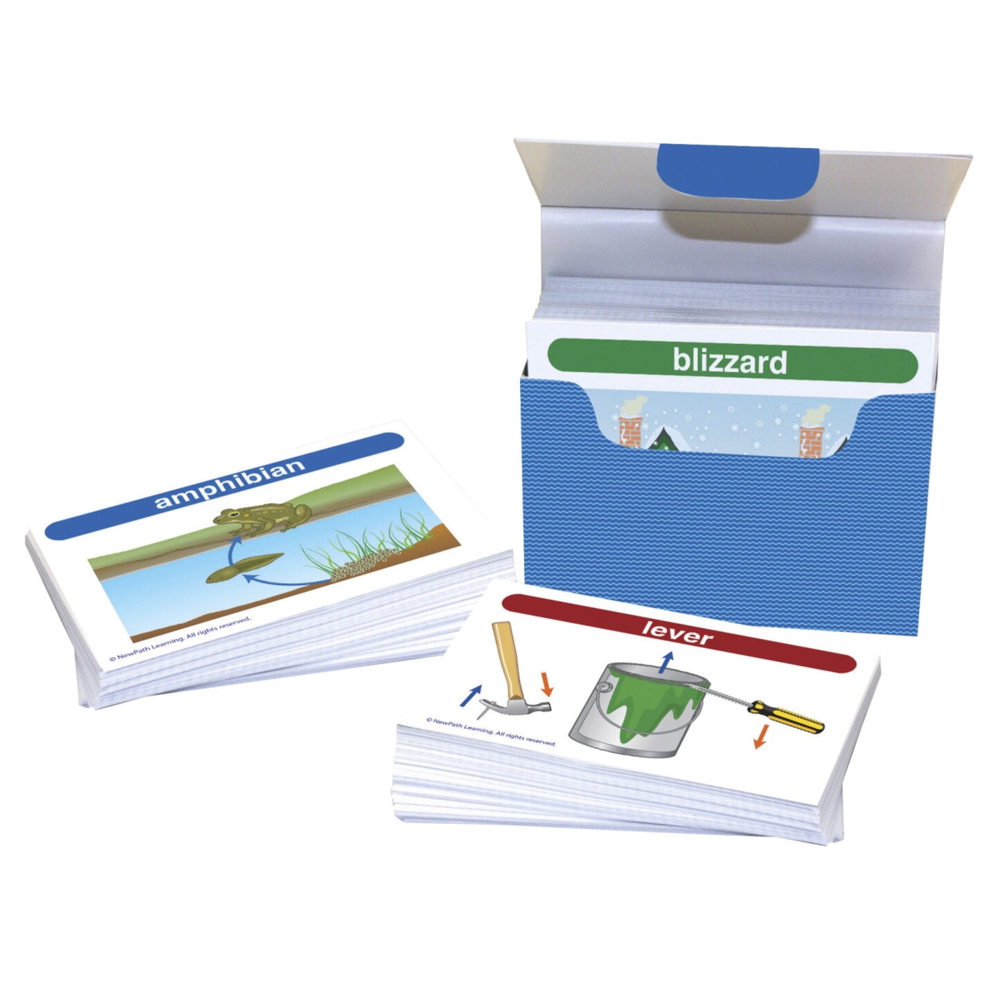 NewPath Learning Science Vocabulary Builder, Grades 1 to 2, Set of 200 ...