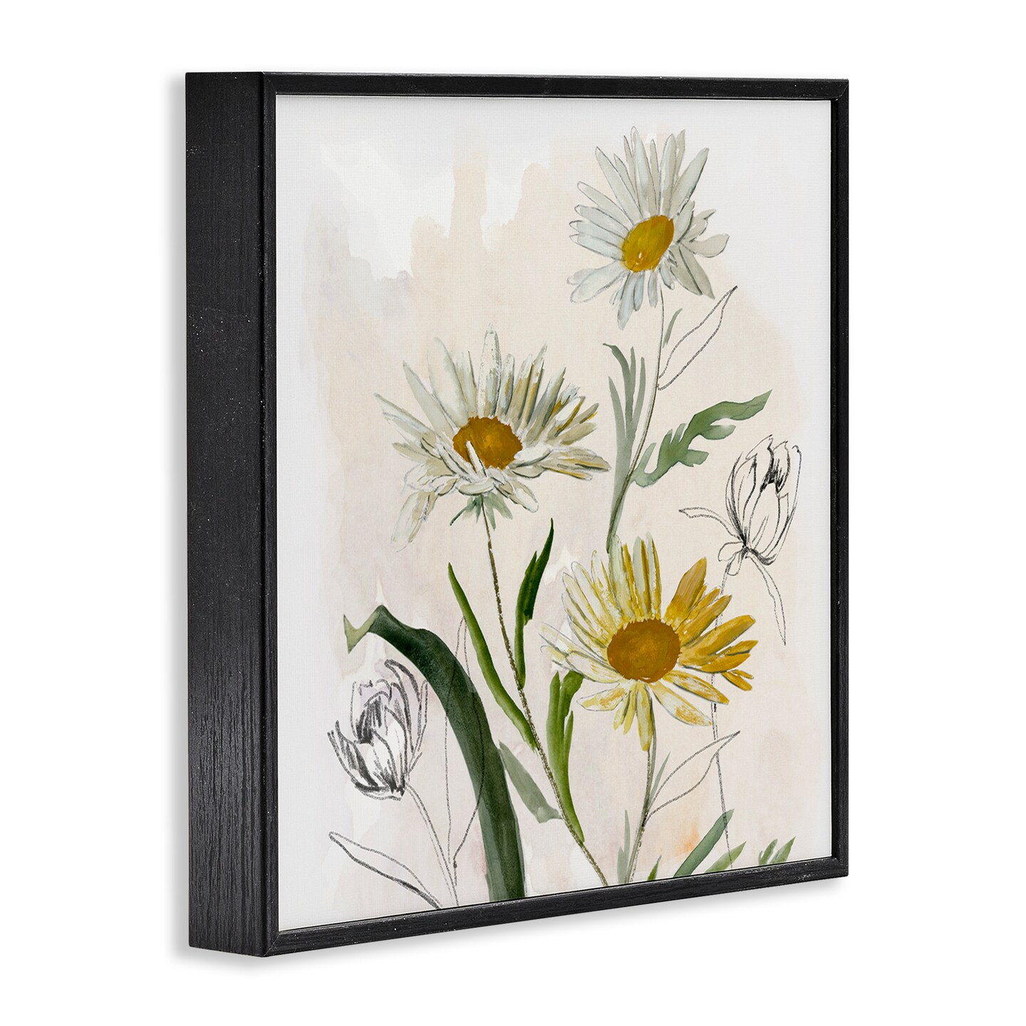 Stupell Industries Pure Simplicity Daisies Framed Giclee, design by Jacob Q