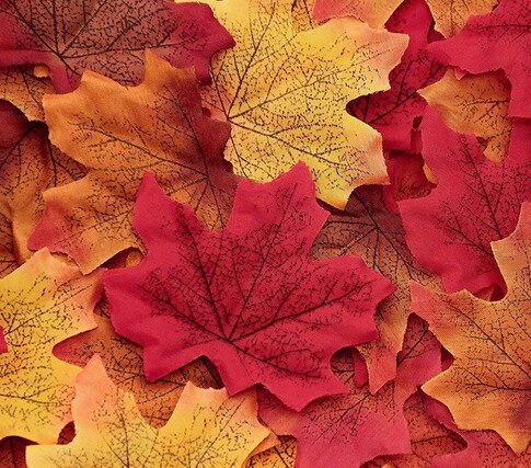 Fall Leaves