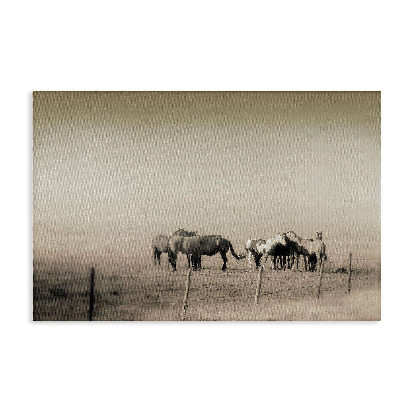 Stupell Industries The Herd Monochrome Horses Canvas, design by Roberta Murray