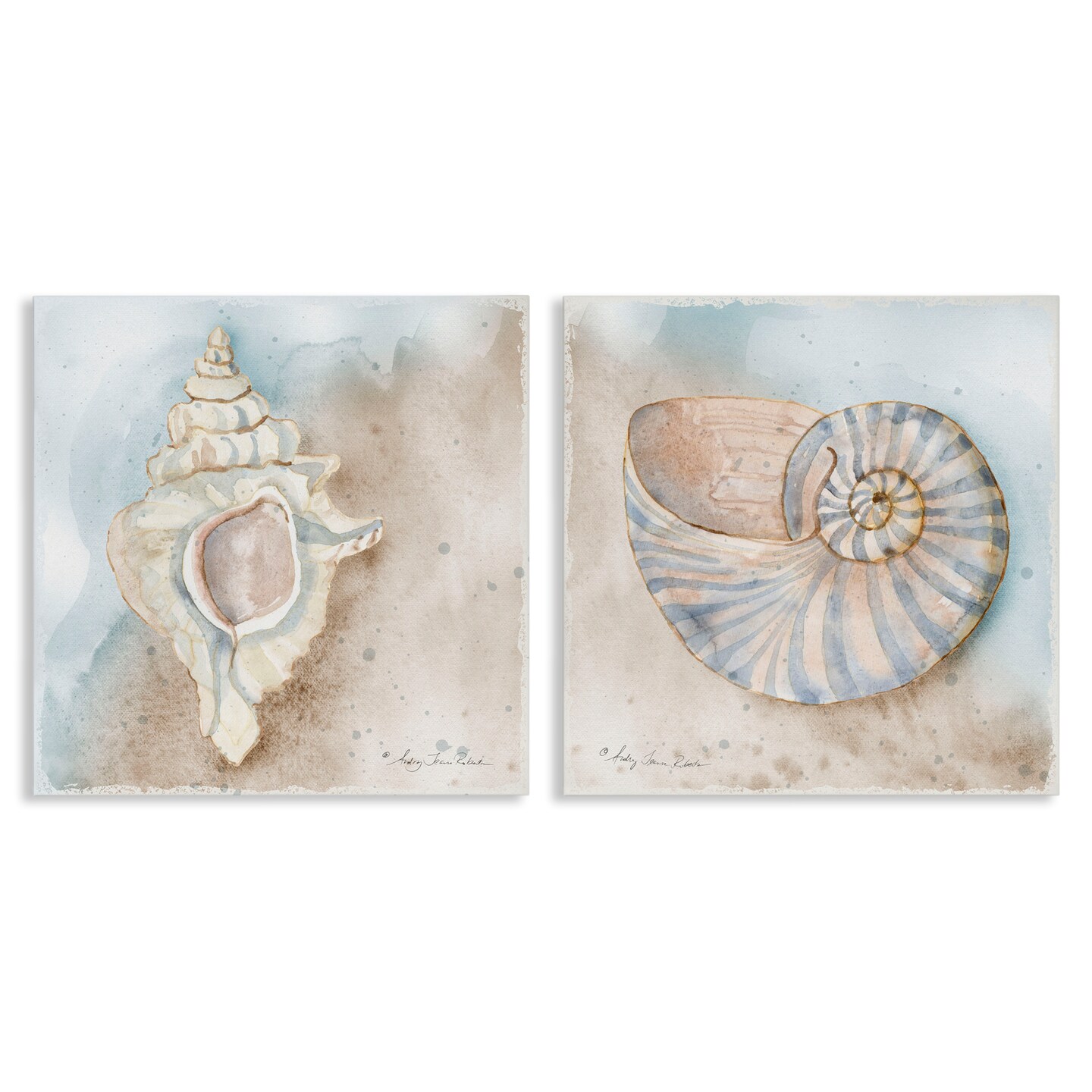 Stupell Industries Conch & Nautilus Ocean's Edge 2pc Canvas Set, design by Audrey Jeanne Roberts