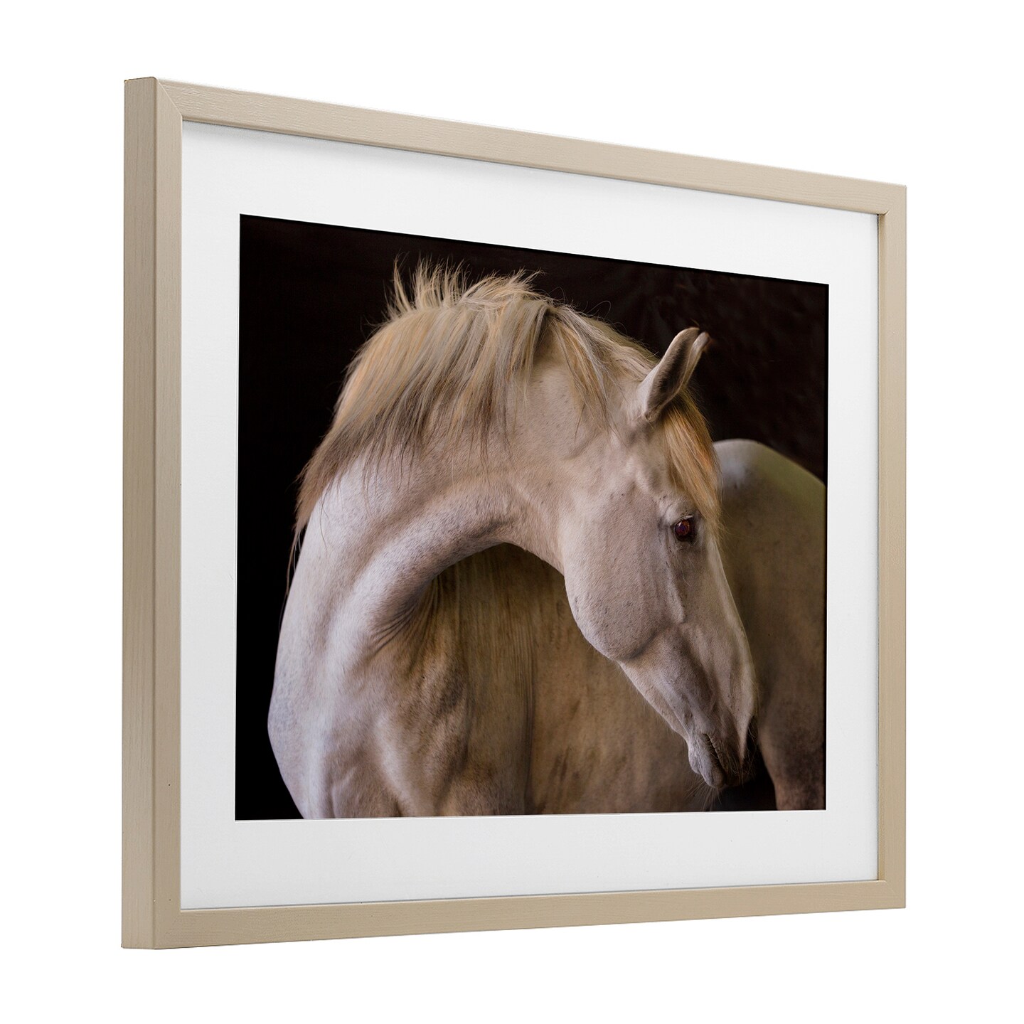Stupell Industries White Beauty Horse Portrait Framed Print Under Glass, design by Sally Linden