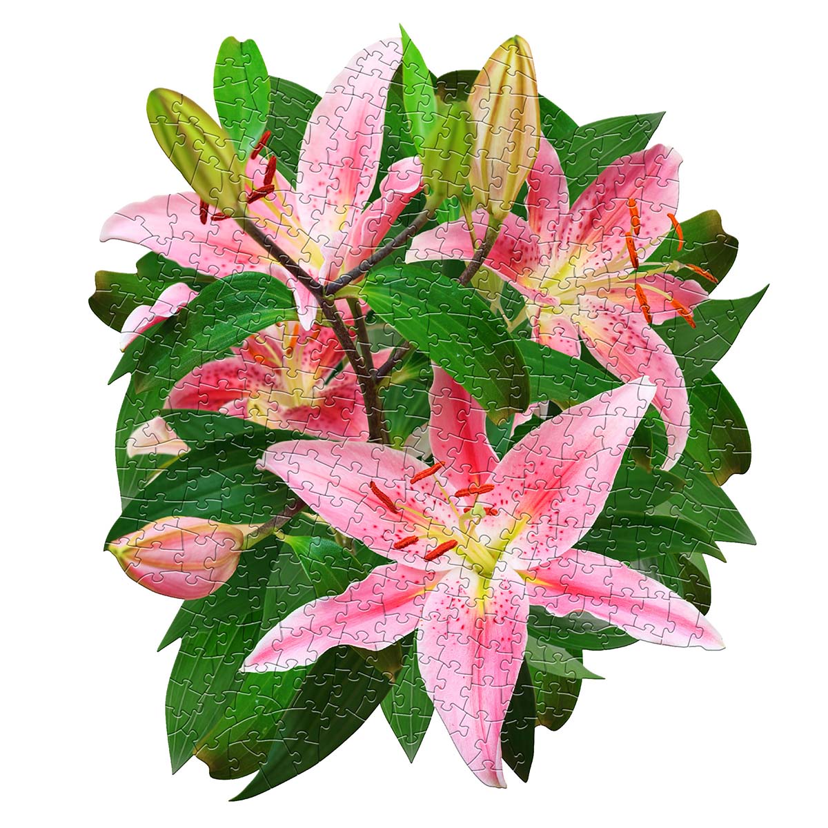 Madd Capp I Am Lily Jigsaw Puzzle, Color: Multi | Michaels