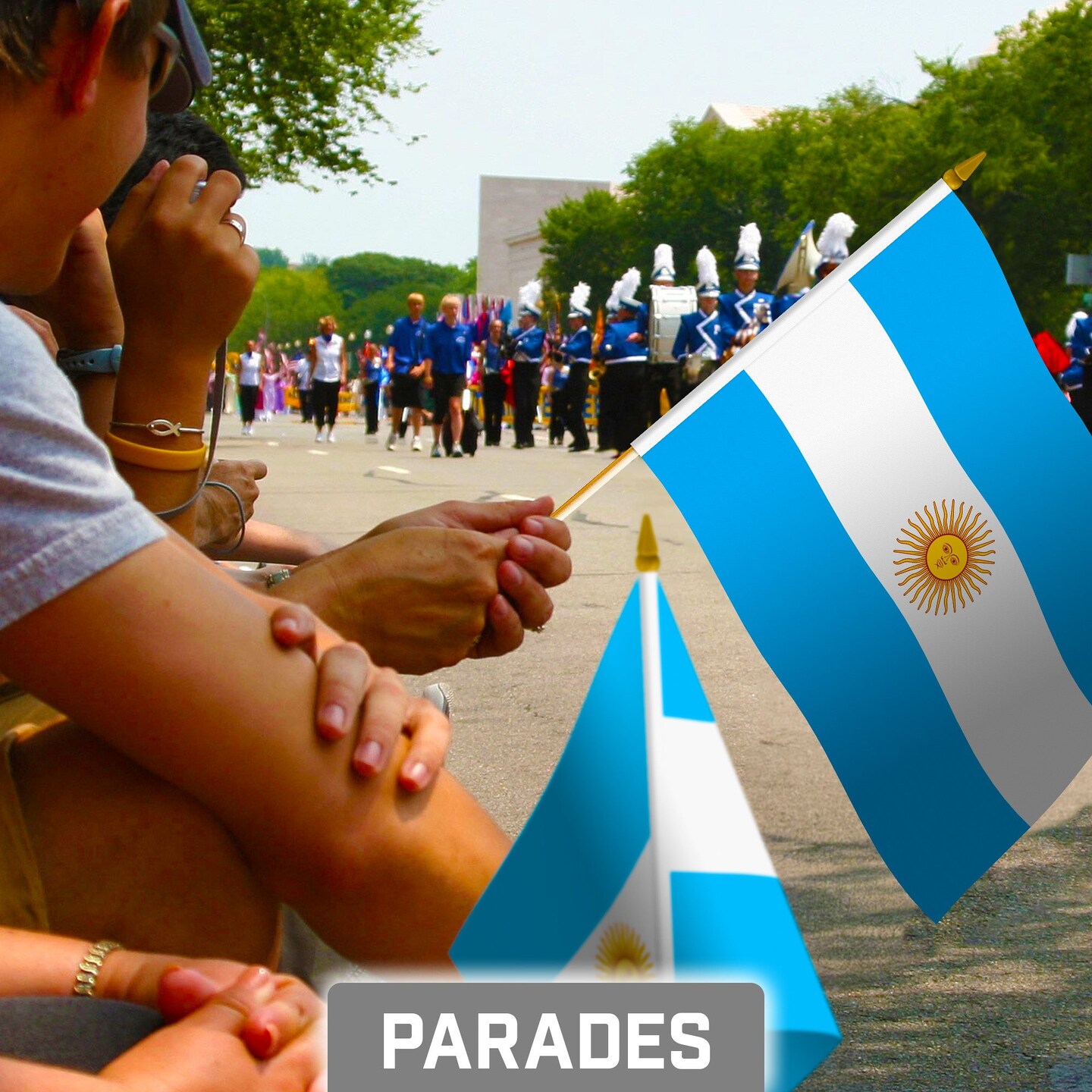 G128 24 Pack Handheld Argentina Argentinian Stick Flags | 8x12 In | Printed 150D Polyester, Country Flag, Solid Wooden Stick, Spear Gold Tip