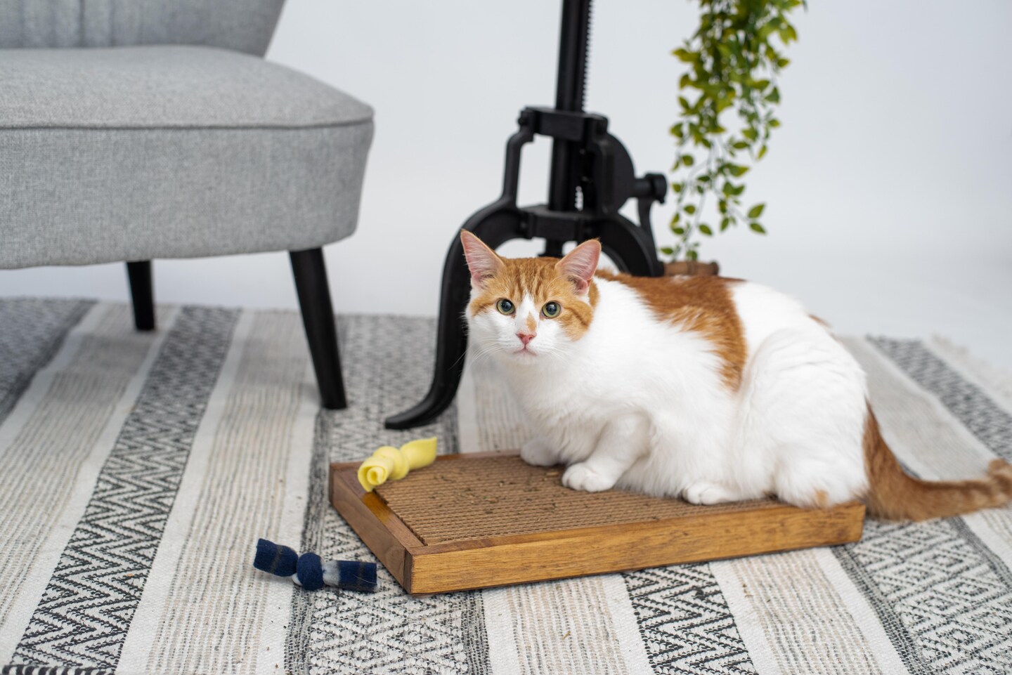 Handmade Double Wide Cat Wooden Scratcher MakerPlace by Michaels