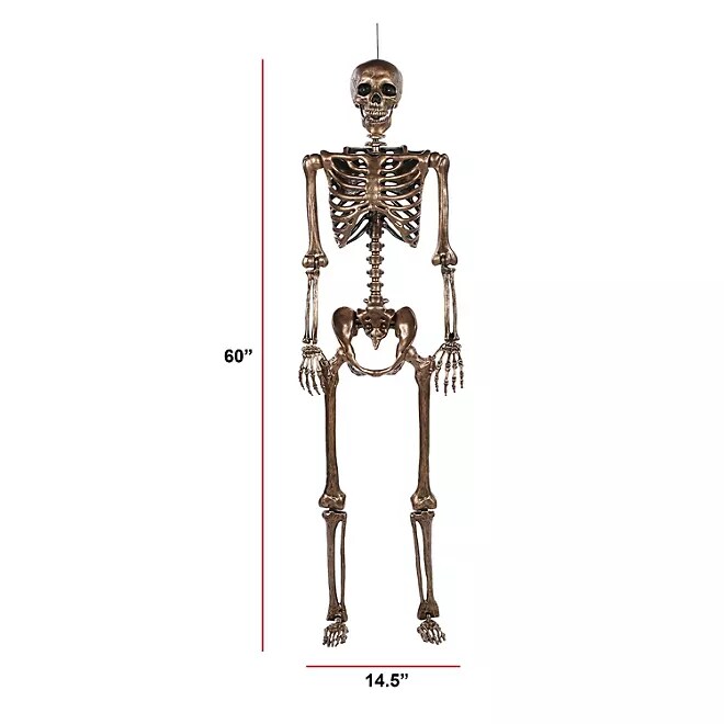 Bronze Talking Skeletons Set with LED Eyes