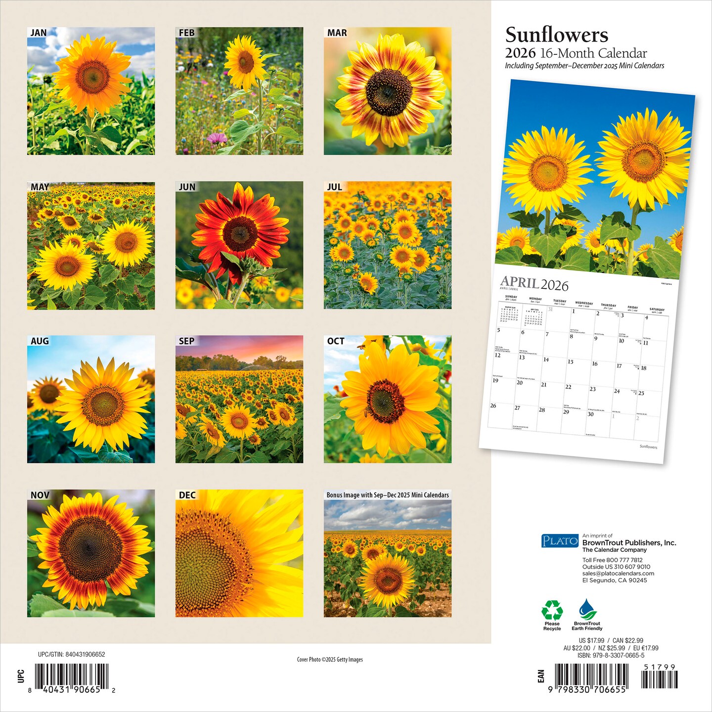 Sunflowers | 2026 12 x 24 Inch (Hanging) Monthly Square Wall Calendar | Foil Stamped Cover