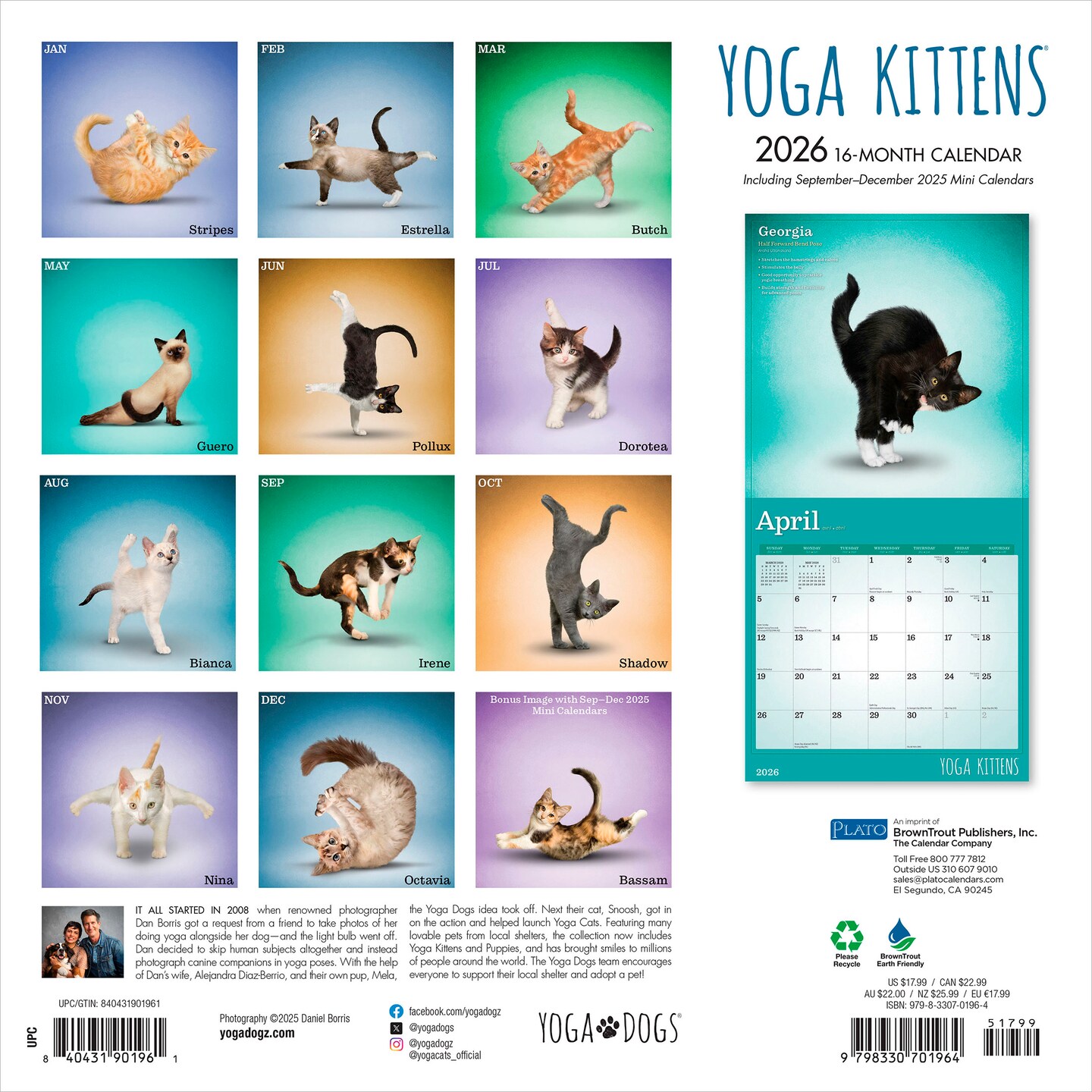 Yoga Kittens OFFICIAL | 2026 12 x 24 Inch (Hanging) Monthly Square Wall Calendar