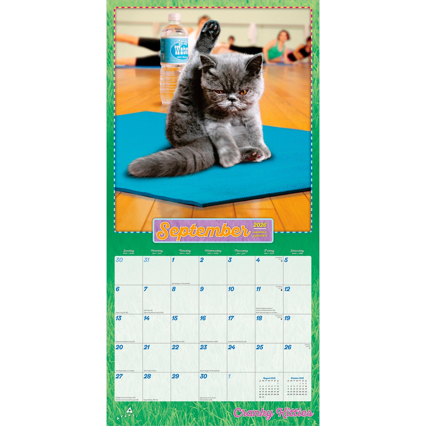 Avanti Cranky Kitties OFFICIAL | 2026 12 x 24 Inch (Hanging) Monthly Square Wall Calendar