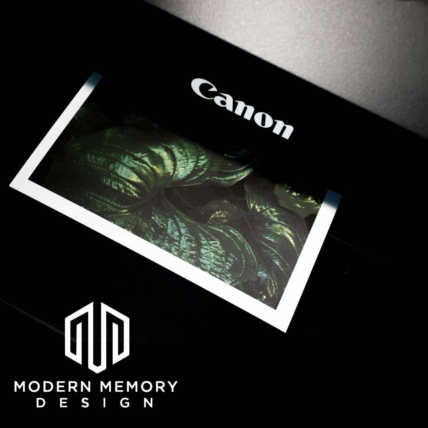 Custom 16x20 Photo Print &#x2013; Print Your 16x20 Picture